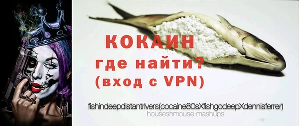 дживик Кинешма
