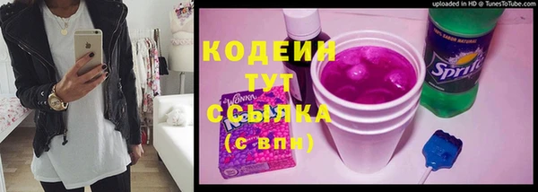 дживик Кинешма