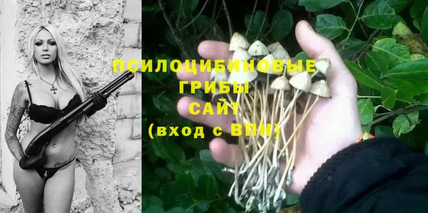 дживик Кинешма