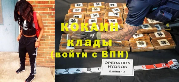 дживик Кинешма