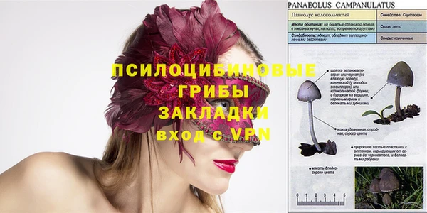 дживик Кинешма