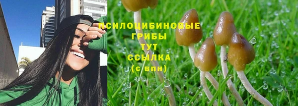 стафф Апатиты