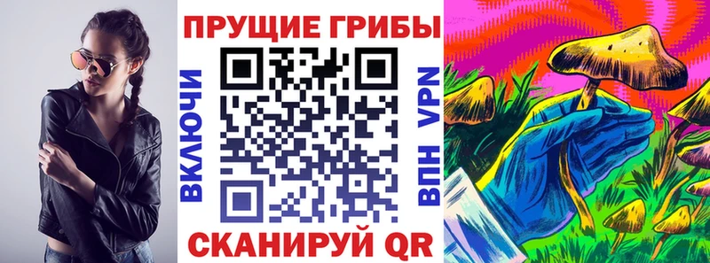 Галлюциногенные грибы GOLDEN TEACHER  Купить  Бежецк 